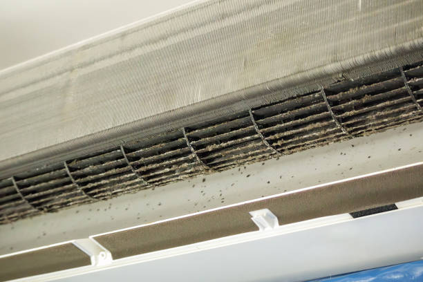 Best Home Air Vent Cleaning  in Sparrow Bush, NY